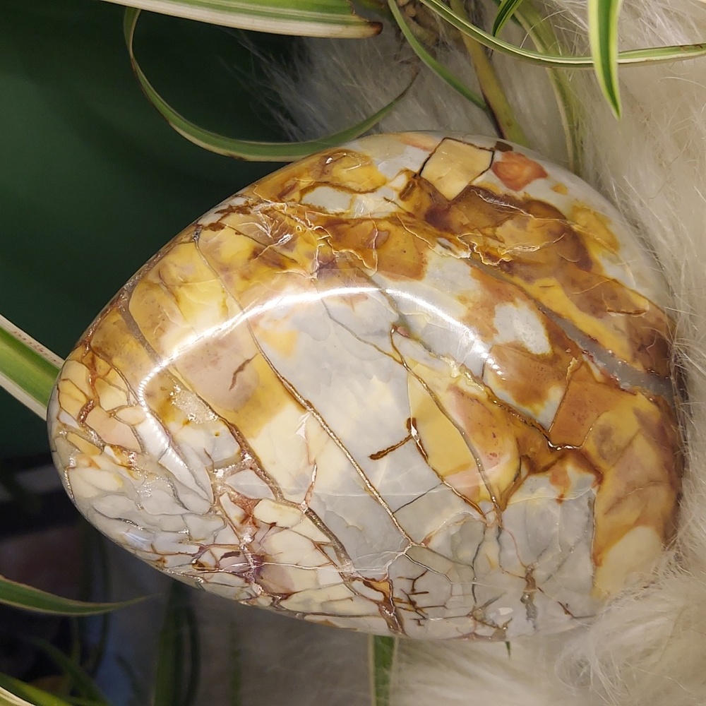 Crystal Ibis Jasper Healing Metaphysical Properties